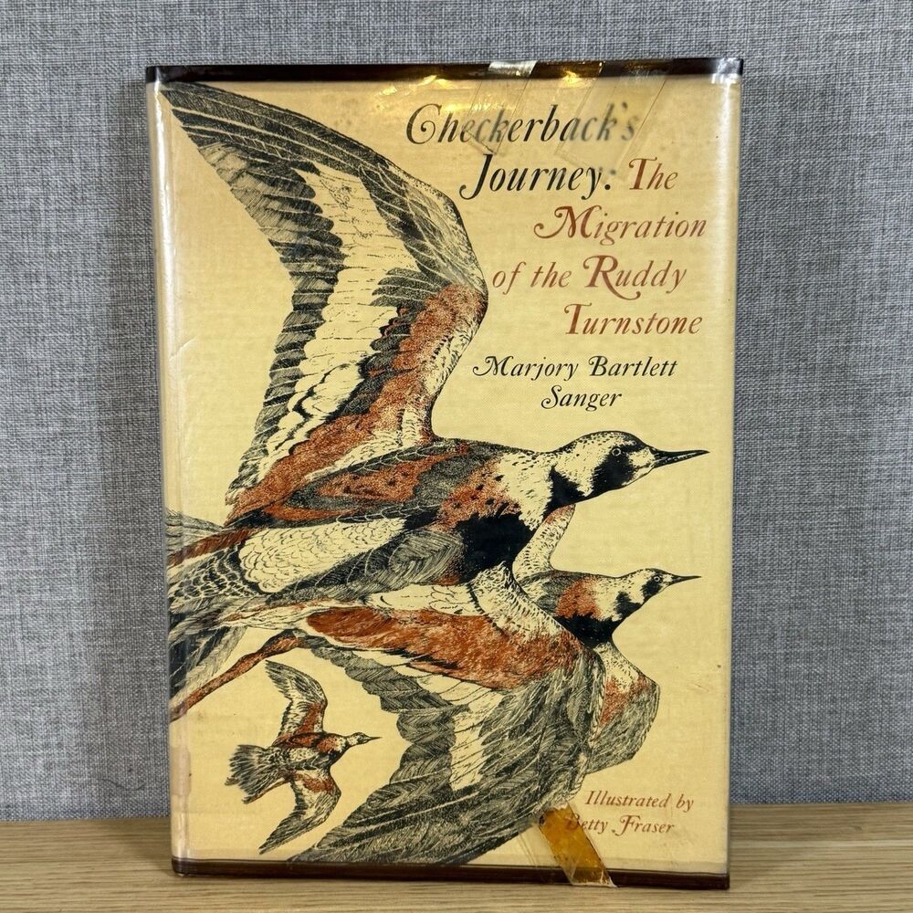 1969 Checkerback's Journey Migration Ruddy Turnstone Vintage Hardcover Ex-Lib